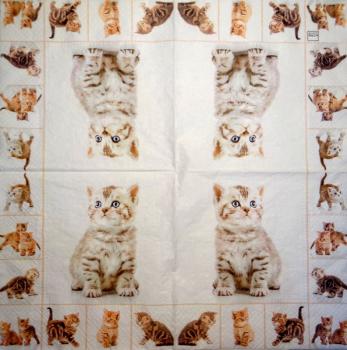 144 Cats - 3-ply - Home Fashion